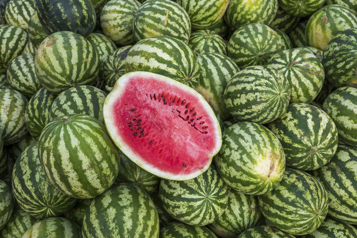 What is a Watermelon Project?